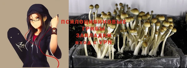 apvp Абаза